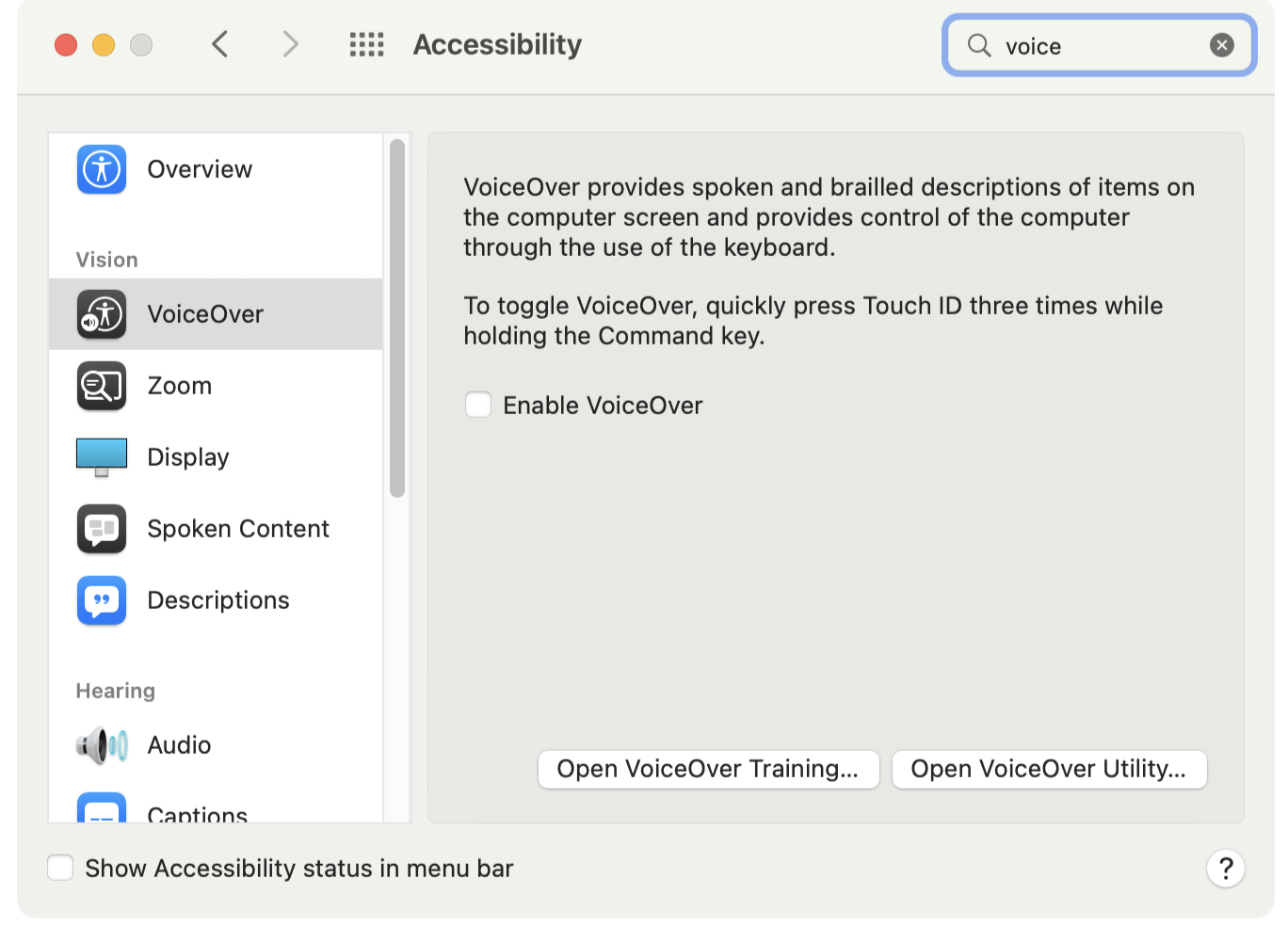 MacOS’s Accessibility settings dialog with the options for VoiceOver selected.