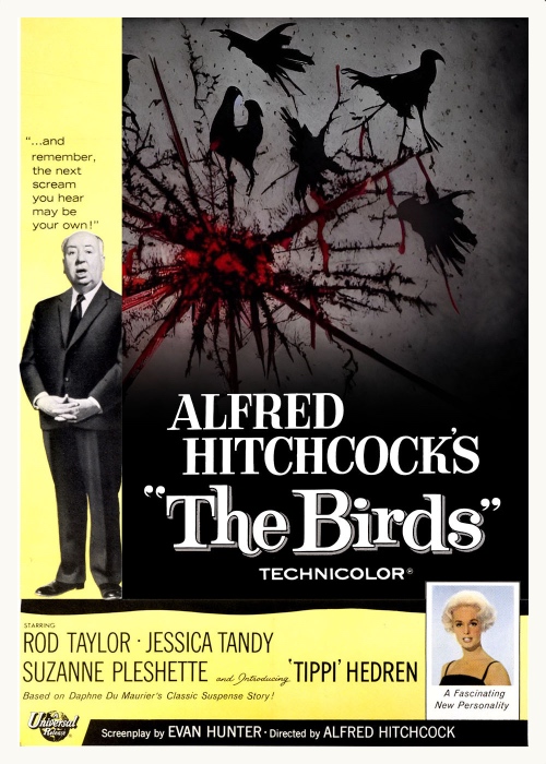 ai-poster-birds-3-1666267185.jpg